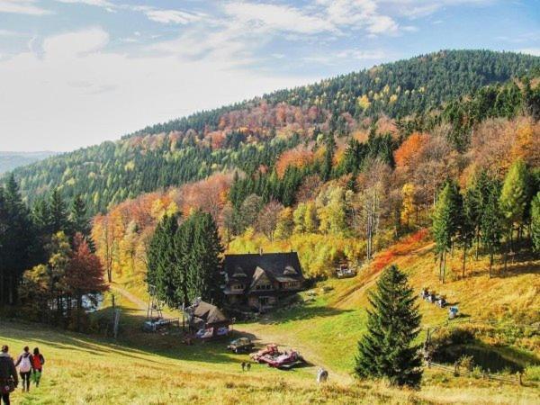 Bukowa Chata Jugów Dış mekan fotoğraf